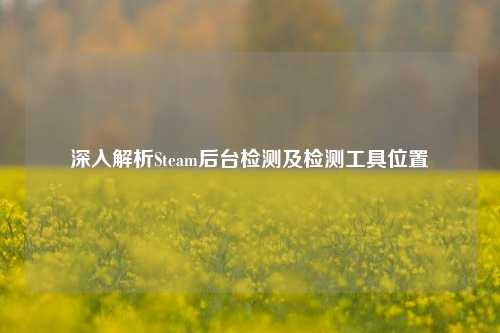 深入解析Steam后台检测及检测工具位置