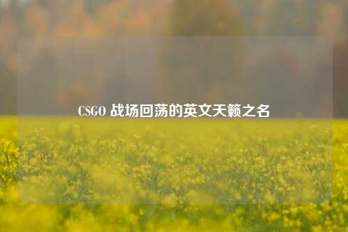 CSGO 战场回荡的英文天籁之名