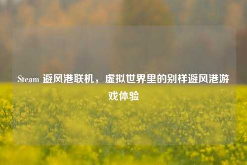 Steam 避风港联机,虚拟世界里的别样避风港游戏体验
