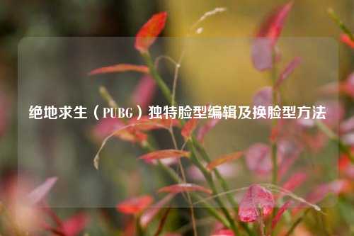 绝地求生（PUBG）独特脸型编辑及换脸型方法