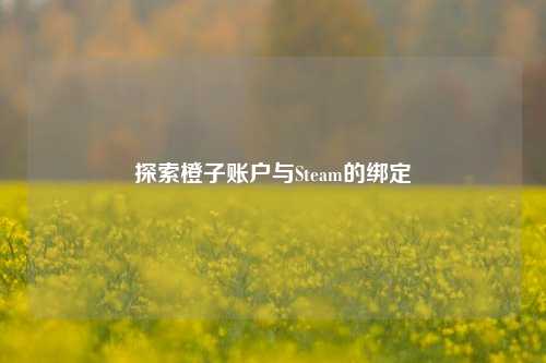 探索橙子账户与Steam的绑定