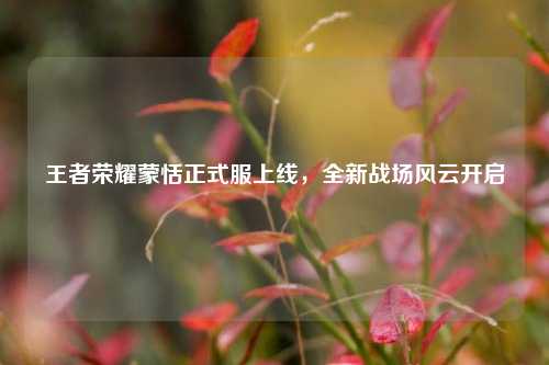 王者荣耀蒙恬正式服上线，全新战场风云开启