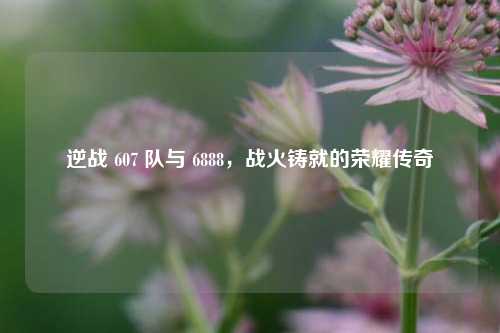 逆战 607 队与 6888，战火铸就的荣耀传奇