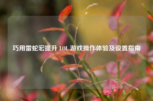 巧用雷蛇宏提升 LOL 游戏操作体验及设置指南