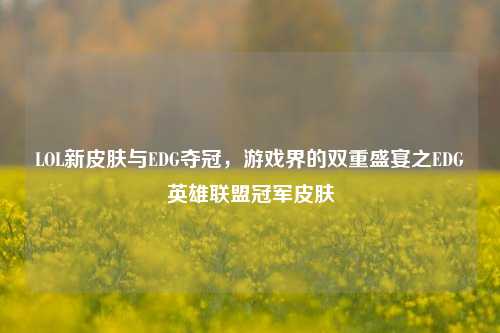 LOL新皮肤与EDG夺冠，游戏界的双重盛宴之EDG英雄联盟冠军皮肤