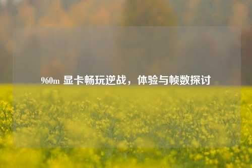960m 显卡畅玩逆战,体验与帧数探讨