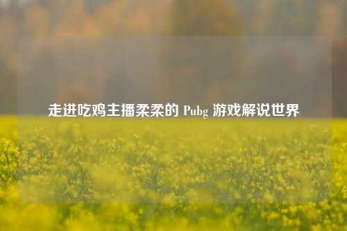 走进吃鸡主播柔柔的 Pubg 游戏解说世界