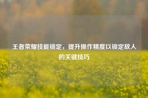 王者荣耀技能锁定,提升操作精度以锁定敌人的关键技巧