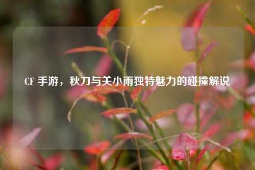 CF 手游，秋刀与关小雨独特魅力的碰撞解说