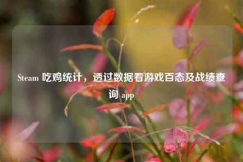 Steam 吃鸡统计,透过数据看游戏百态及战绩查询 app
