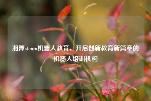 湘潭steam机器人教育，开启创新教育新篇章的机器人培训机构