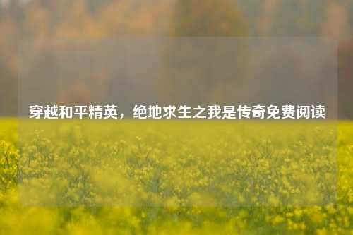 穿越和平精英，绝地求生之我是传奇免费阅读