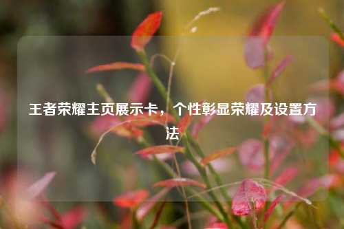王者荣耀主页展示卡,个性彰显荣耀及设置方法