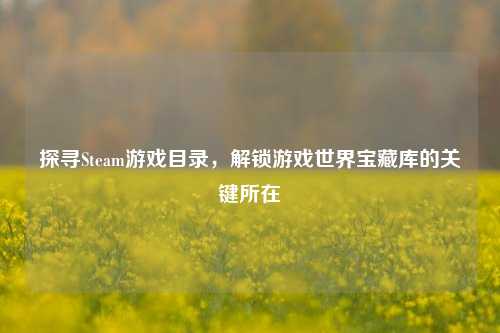 探寻Steam游戏目录，解锁游戏世界宝藏库的关键所在