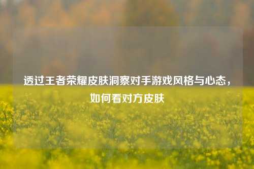 透过王者荣耀皮肤洞察对手游戏风格与心态，如何看对方皮肤