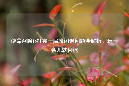 使命召唤16打完一局就闪退问题全解析，玩一会儿就闪退