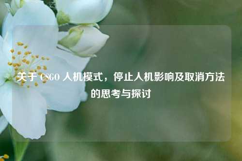 关于 CSGO 人机模式,停止人机影响及取消方法的思考与探讨