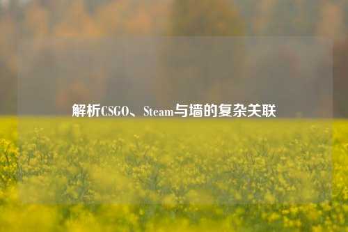 解析CSGO、Steam与墙的复杂关联