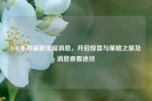 LOL手游最新宝箱消息，开启惊喜与策略之旅及消息查看途径