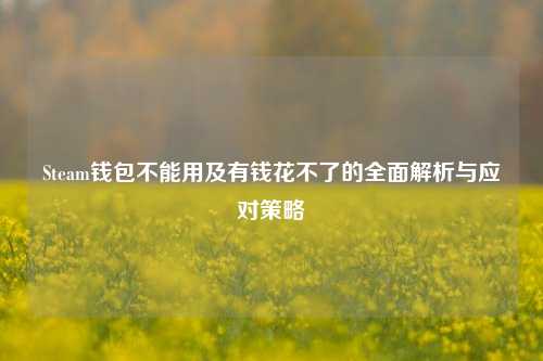 Steam钱包不能用及有钱花不了的全面解析与应对策略