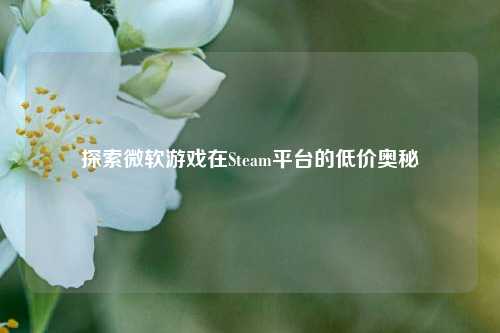 探索微软游戏在Steam平台的低价奥秘