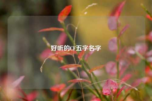 好听的CF五字名字