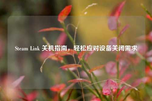 Steam Link 关机指南，轻松应对设备关闭需求