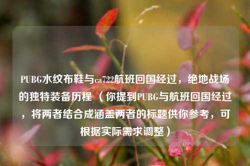 PUBG水纹布鞋与ca722航班回国经过，绝地战场的独特装备历程 （你提到PUBG与航班回国经过，将两者结合成涵盖两者的标题供你参考，可根据实际需求调整）