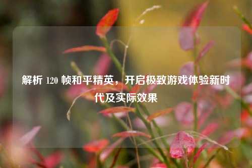 解析 120 帧和平精英，开启极致游戏体验新时代及实际效果
