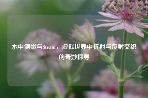 水中倒影与Steam,虚拟世界中折射与反射交织的奇妙探寻