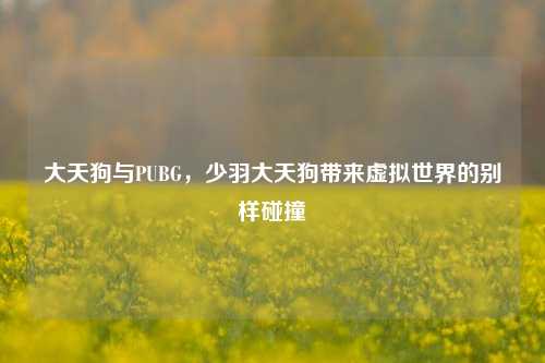 大天狗与PUBG，少羽大天狗带来虚拟世界的别样碰撞