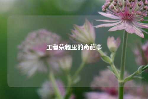 王者荣耀里的奇葩事