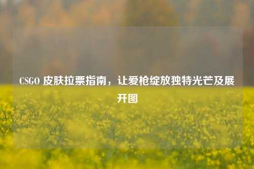 CSGO 皮肤拉票指南，让爱枪绽放独特光芒及展开图