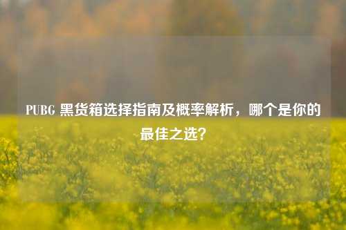 PUBG 黑货箱选择指南及概率解析，哪个是你的最佳之选？