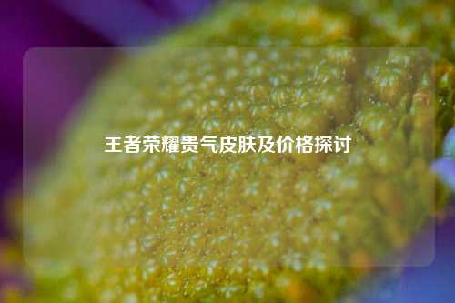 王者荣耀贵气皮肤及价格探讨