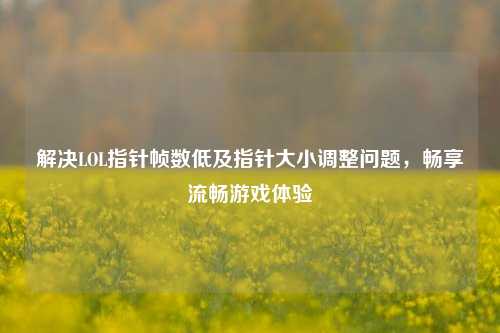 解决LOL指针帧数低及指针大小调整问题，畅享流畅游戏体验