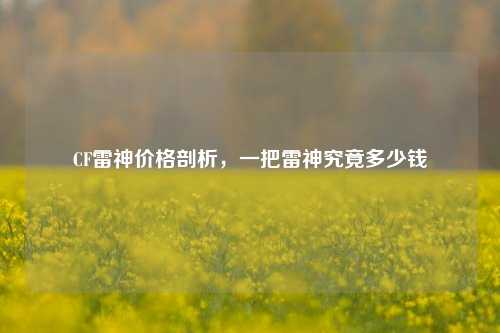 CF雷神价格剖析，一把雷神究竟多少钱