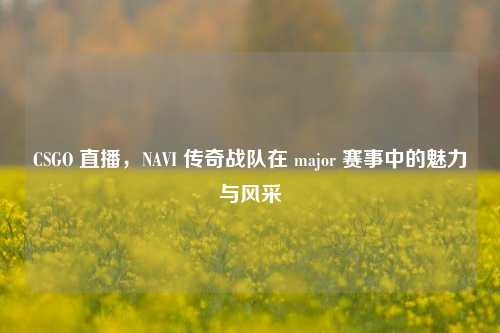 CSGO 直播，NAVI 传奇战队在 major 赛事中的魅力与风采