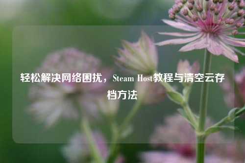 轻松解决网络困扰,Steam Host教程与清空云存档方法