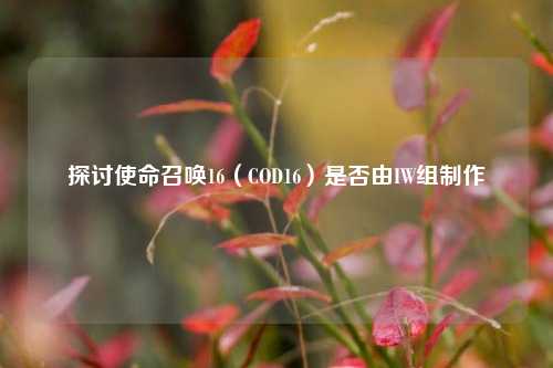 探讨使命召唤16（COD16）是否由IW组制作