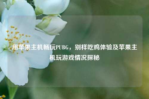 用苹果主机畅玩PUBG，别样吃鸡体验及苹果主机玩游戏情况探秘
