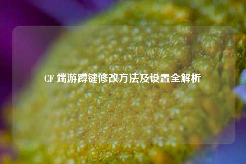 CF 端游蹲键修改方法及设置全解析