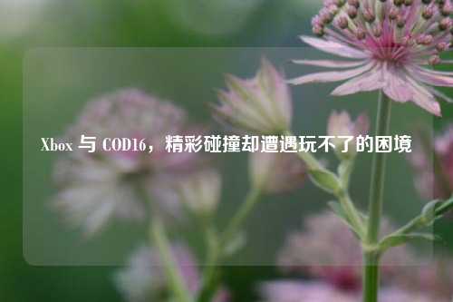 Xbox 与 COD16,精彩碰撞却遭遇玩不了的困境