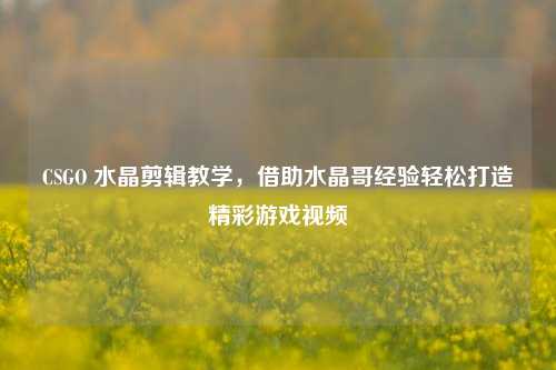 CSGO 水晶剪辑教学,借助水晶哥经验轻松打造精彩游戏视频