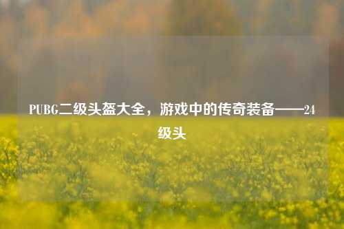 PUBG二级头盔大全,游戏中的传奇装备——24级头