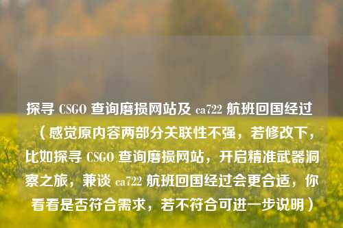 探寻 CSGO 查询磨损网站及 ca722 航班回国经过 （感觉原内容两部分关联性不强，若修改下，比如探寻 CSGO 查询磨损网站，开启精准武器洞察之旅，兼谈 ca722 航班回国经过会更合适，你看看是否符合需求，若不符合可进一步说明）
