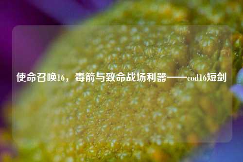 使命召唤16，毒箭与致命战场利器——cod16短剑