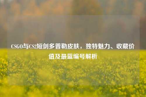 CSGO与CS2短剑多普勒皮肤,独特魅力、收藏价值及最蓝编号解析
