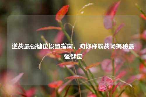 逆战最强键位设置指南，助你称霸战场揭秘最强键位