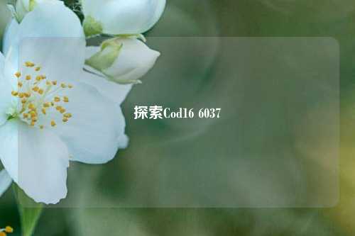 探索Cod16 6037